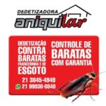 DEDETIZAÇÃO EM RAMOS RJ